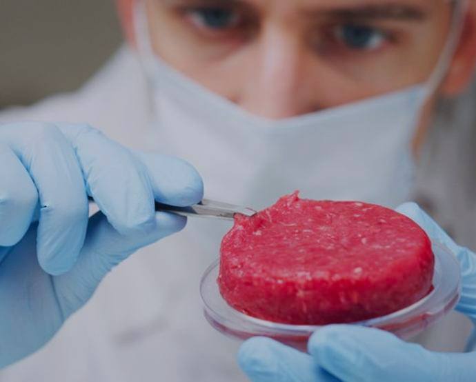 JBS, la mayor productora de proteína animal del mundo, está invirtiendo más de USD 60 millones para desarrollar carne cultivada en Santa Catarina./ Tomada del sitio web de Bio Tech Foods.